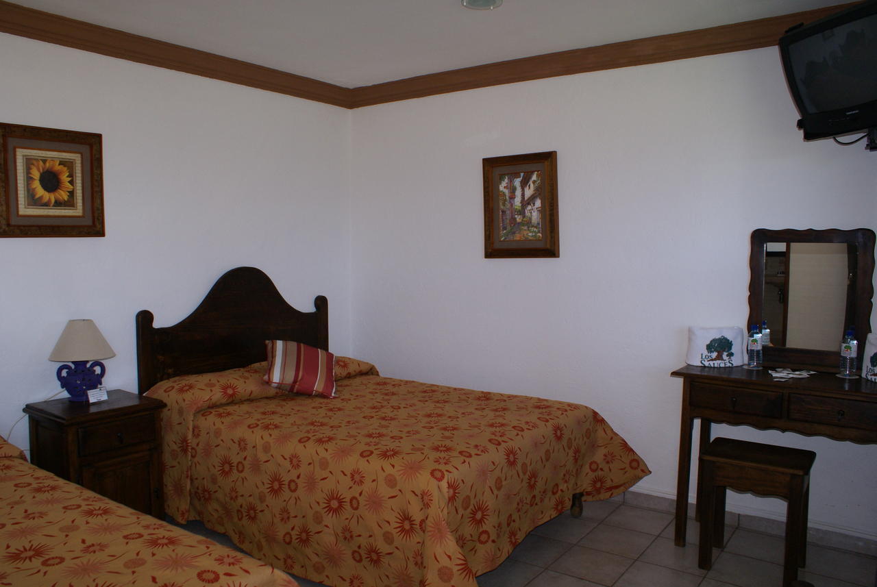 Hotel Los Sauces Villa Del Carbon Phòng bức ảnh