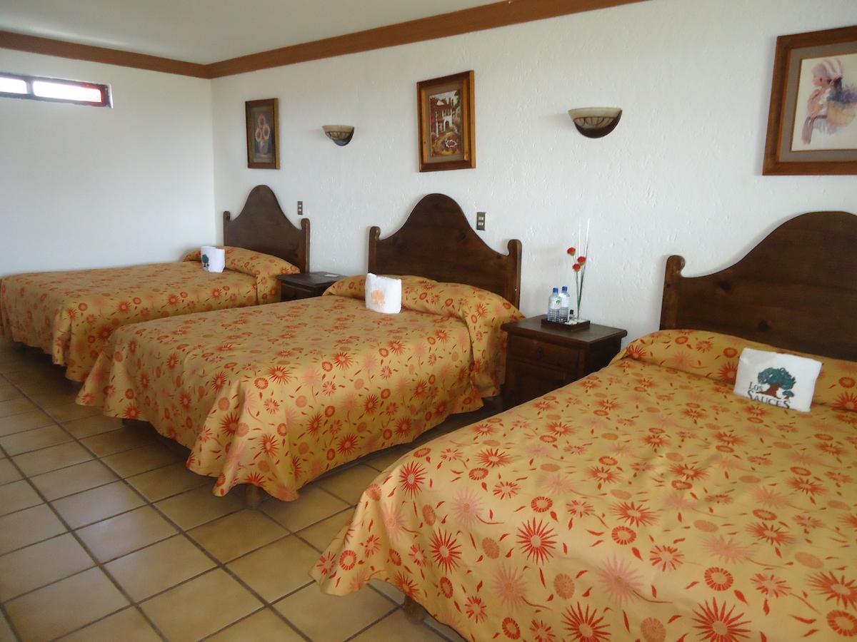 Hotel Los Sauces Villa Del Carbon Phòng bức ảnh